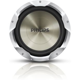 Subwoofer para el automóvil
