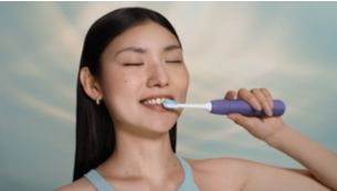 Guided brushing sessions