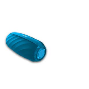 Wireless portable speaker