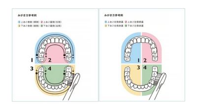 推奨される歯磨きの順序を示す図