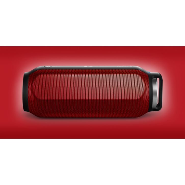 Small size, incredible sound