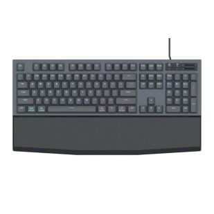 Evnia 5000 Ambiglow가 탑재된 기계식 게이밍 키보드