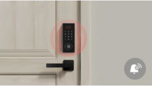 Your home security guard