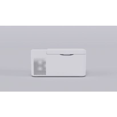 Philips Car thermal box