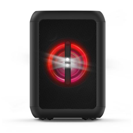 TANX100/10  Bluetooth-festhøjttaler