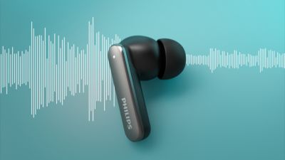 Hybrid Active Noise Cancelling