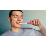 Essential Care for healthy teeth and gums