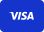 Visa icon