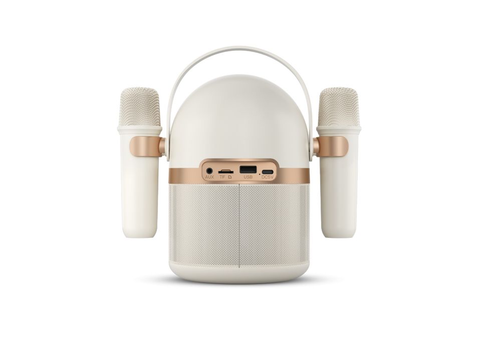 Wireless speaker TAS2509WT/00 | Philips