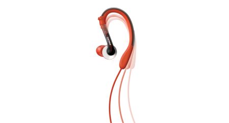 Customizable ear hooks