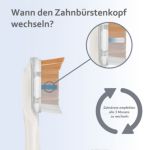 One Bürstenkopf für umfassende Pflege