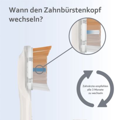 One Bürstenkopf für umfassende Pflege