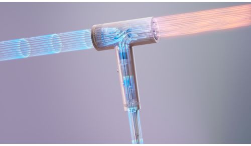 Potencia el brillo y reduce el encrespado