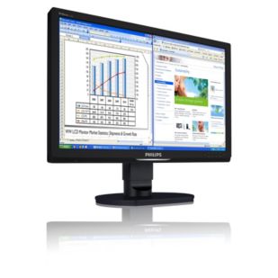 Brilliance 240B1CB LCD monitor with Ergo base, USB, Audio