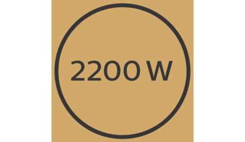Professioneel, 2200 W, voor een perfect salonresultaat