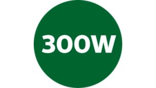Puissant moteur de 300 W