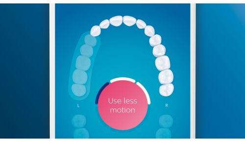 Führt Sie beim Putzen und weist auf ausgelassene Bereiche hin
