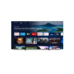 Vibrant. Beautiful. Immersive.