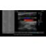 InnoSight training: Video annotation and body marker