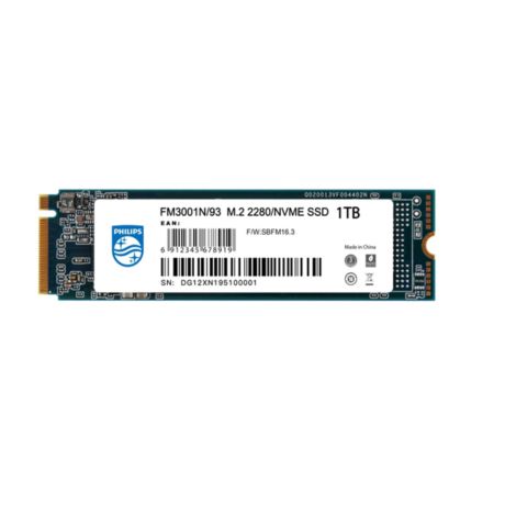 FM30SS100N/93  SSD