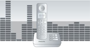 Parametrischer Equalizer liefert einen reinen und kristallklaren Sound