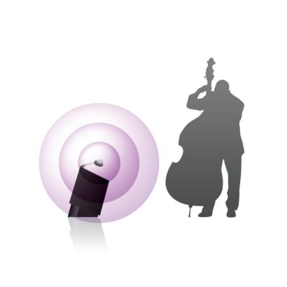 Izjūtiet koncertā valdošās emocijas