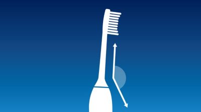 Angled brush head neck for better reach to back teeth