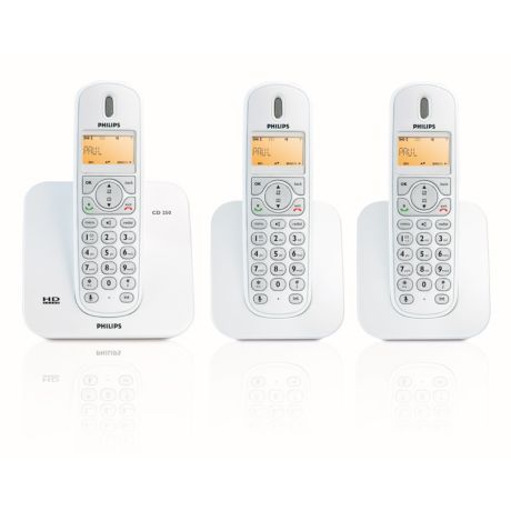 CD2503S/38  Schnurlostelefon