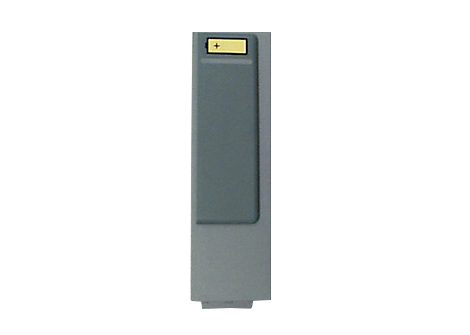 ForeRunner Disposable LitMn02 Battery Pack Battery