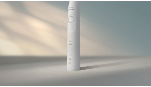 Wählen Sie Ihr ideales Putzerlebnis