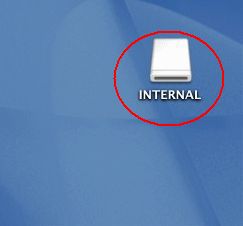 Internal device