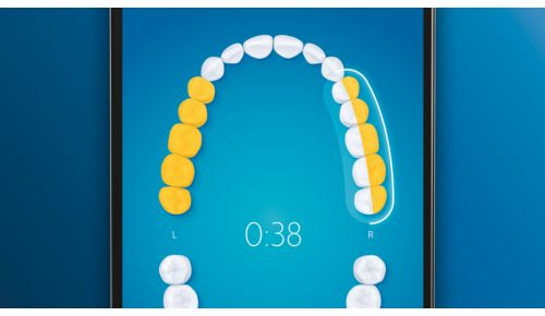 Leder dig tilbage til eventuelt oversprungne områder, så du opnår 100 % dækning