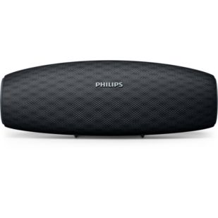 wireless portable speaker