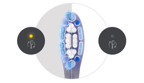 Fortsæt med at børste på den bedste måde med påmindelse om udskiftning af børstehovedet