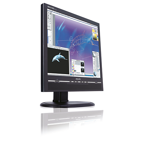 170P5EB/27 Brilliance LCD monitor