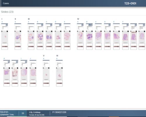 Feature 1 intellisite IMS page streamline workflows