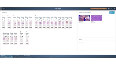 Streamlining digital workflow to enhance user experience