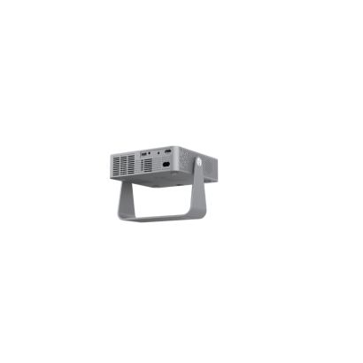 Philips NeoPix 256