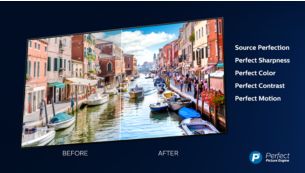 Indiferent de sursă, întotdeauna perfecţiune. Procesor Philips P5.
