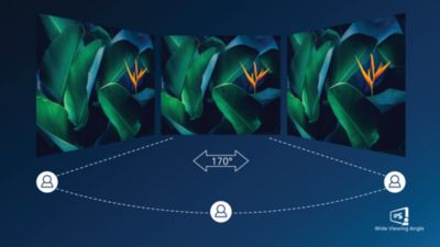 IPS LED wide view technology for image and colour accuracy