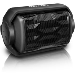 BT2200B wireless portable speaker