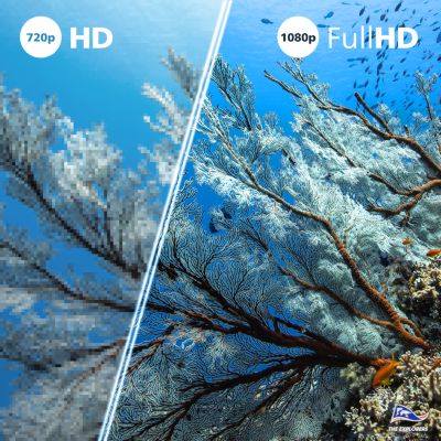 Une expérience visuelle incroyable avec la FHD