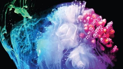 OLED display for lifelike visuals with deeper black details