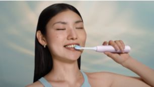Guided brushing sessions