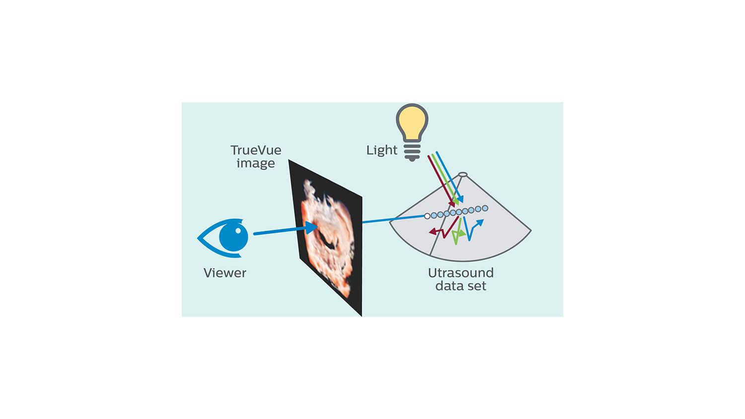 TrueVue adds a virtual light source and simulates light-tissue interactions