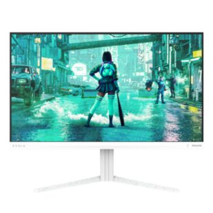 Fast IPS Gaming monitor
