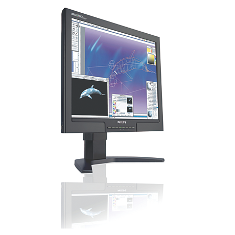 200P7EB/75 Brilliance LCD monitor