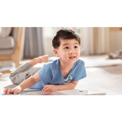 Philips Hairclipper series 2000