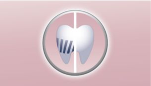 Élimine jusqu'à 5 fois plus de plaque dentaire entre les dents*