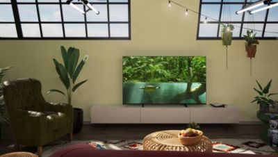 Slim TV. Packed for the future.